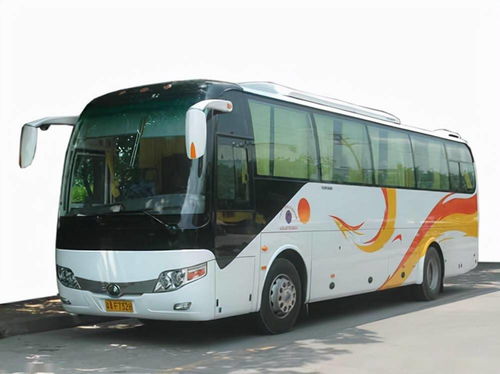 国庆租车首选泰州中航租车，专业服务助力便捷出行